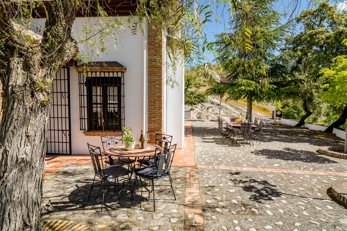 Terraces with mature trees